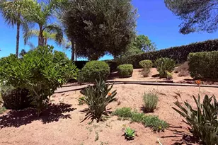 524 Rosvall Dr Dr, Fallbrook, CA 92028 - Photo 8
