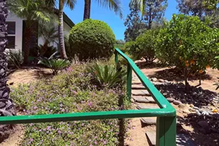 524 Rosvall Dr Dr, Fallbrook, CA 92028 - Photo 22