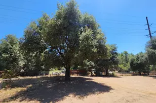 27544 Old Hwy 80, Descanso, CA 91916 - Photo 6