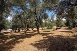 450 Summerhill Ct, Alpine, CA 91901 - Photo 74