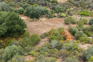 450 Summerhill Ct, Alpine, CA 91901 - Photo 70