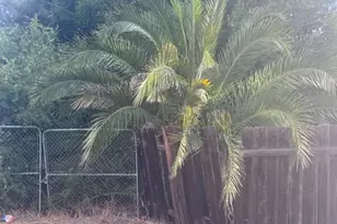 1225 Victor, El Cajon, CA 92021 - Photo 10