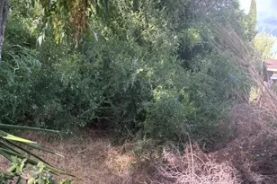 1225 Victor, El Cajon, CA 92021 - Photo 8