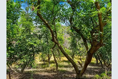 2339 Green Valley Road, Fallbrook, CA 92028 - Photo 22