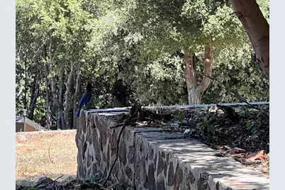  Harrison Park Road, Julian, CA 92036 - Photo 18