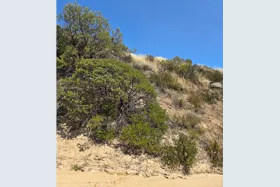 789 Crazy Horse Canyon Drive, Aguanga, CA 92536 - Photo 2