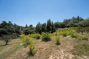 1315 Farmer Rd, Julian, CA 92036 - Photo 74