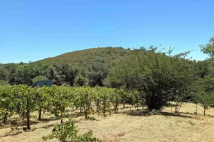 6911 Engineers Rd, Julian, CA 92036 - Photo 42