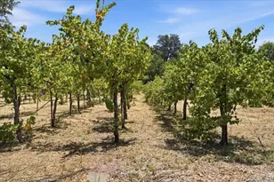 6911 Engineers Rd, Julian, CA 92036 - Photo 36
