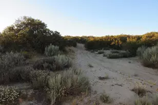 109 57 Acres Hwy 94, Boulevard, CA 91905 - Photo 1