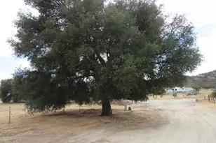 1819 Buckman Spgs Rd, Campo, CA 91906 - Photo 16