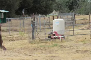 1819 Buckman Spgs Rd, Campo, CA 91906 - Photo 14