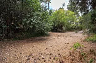 11133 Valley Lights Dr, El Cajon, CA 92020 - Photo 50
