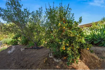 510 Burgasia Path, El Cajon, CA 92019 - Photo 42