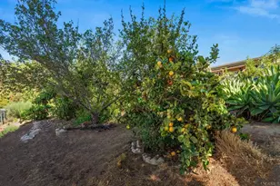 510 Burgasia Path, El Cajon, CA 92019 - Photo 42