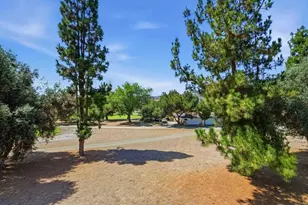 3171 Dehesa Rd, El Cajon, CA 92019 - Photo 6