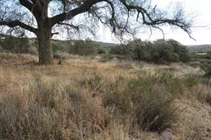 33530 Hwy 94, Campo, CA 91906 - Photo 10