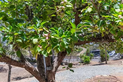 1238 Cedar Street, Ramona, CA 92065 - Photo 44