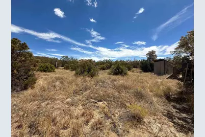 54174 Mdw Vly Lane, Anza, CA 92539 - Photo 6