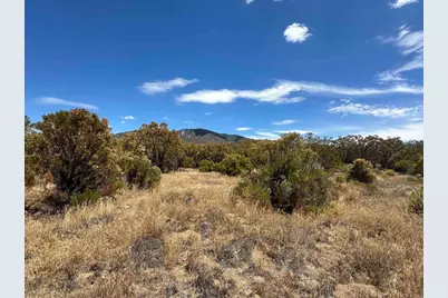 54174 Mdw Vly Lane, Anza, CA 92539 - Photo 2