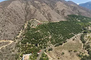 15063 Adams Dr, Pala, CA 92061 - Photo 48