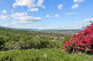 15063 Adams Dr, Pala, CA 92061 - Photo 10
