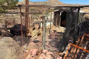 44493 Old Hwy 80, Jacumba, CA 91934 - Photo 8