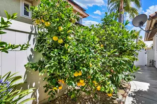 5179 Via Mindanao, Oceanside, CA 92057 - Photo 36