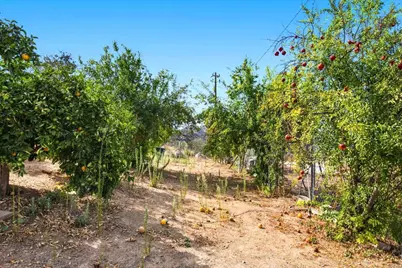 15220 Lawson Valley Road, Jamul, CA 91935 - Photo 50