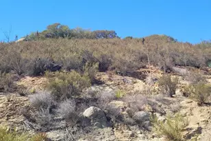 2662 Honey Springs Rd, Jamul, CA 91935 - Photo 8