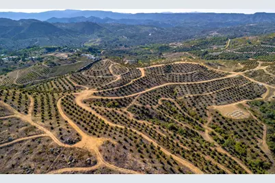 45000 Rancho Fallbrook Road, Temecula, CA 92590 - Photo 2