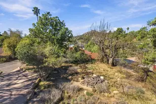 4525 Lyons Dr, La Mesa, CA 91941 - Photo 48