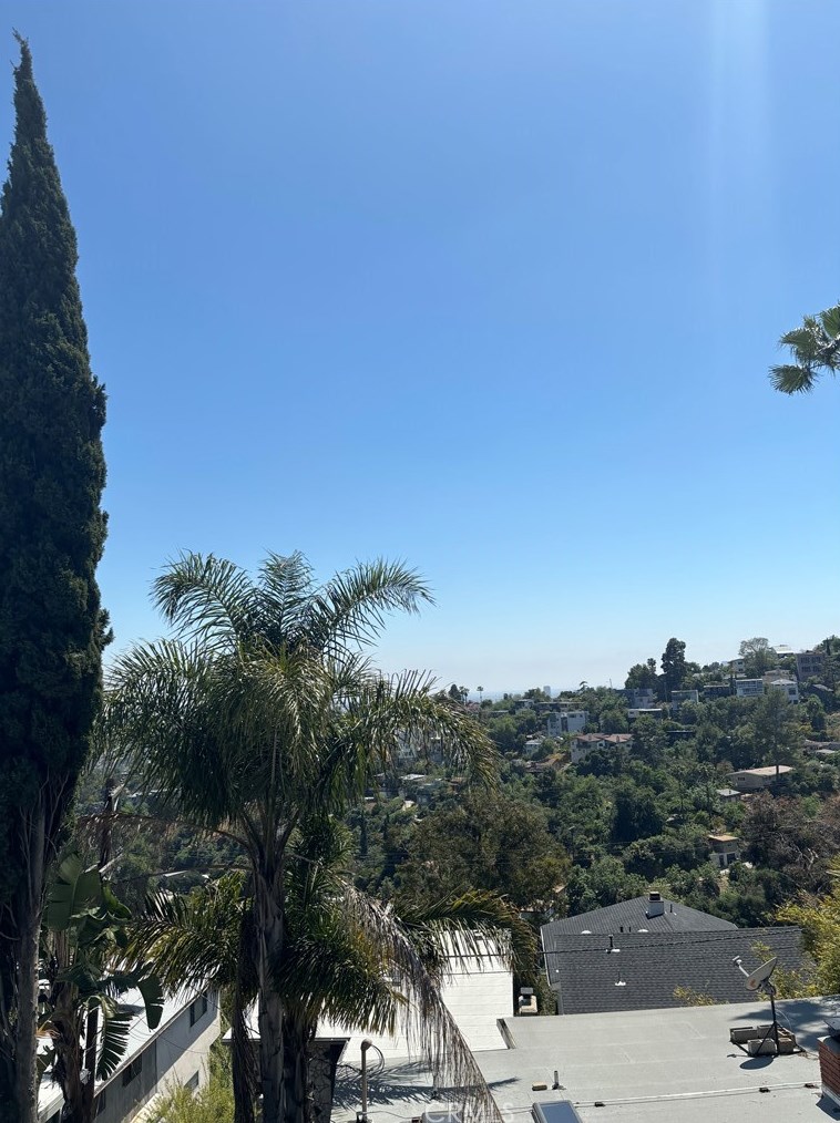 597 Crane Blvd, Los Angeles CA  90065-5019 exterior