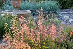 2 Chuckwagon Rd, Rolling Hills, CA 90274 - Photo 60