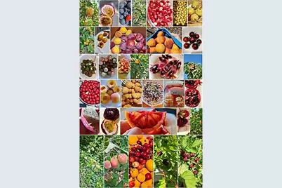 2 Chuckwagon Road, Rolling Hills, CA 90274 - Photo 54