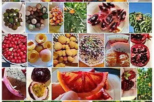 2 Chuckwagon Rd, Rolling Hills, CA 90274 - Photo 54