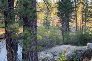 0 Cienega Rd, Big Bear Lake, CA 92315 - Photo 26