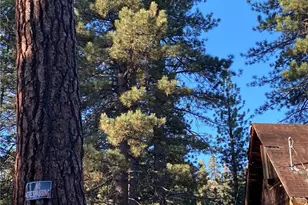 0 Cienega Rd, Big Bear Lake, CA 92315 - Photo 12