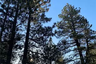 0 Cienega Rd, Big Bear Lake, CA 92315 - Photo 10