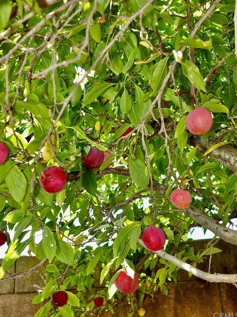 2610 Kansas Ave, South Gate CA 90280-4021 exterior