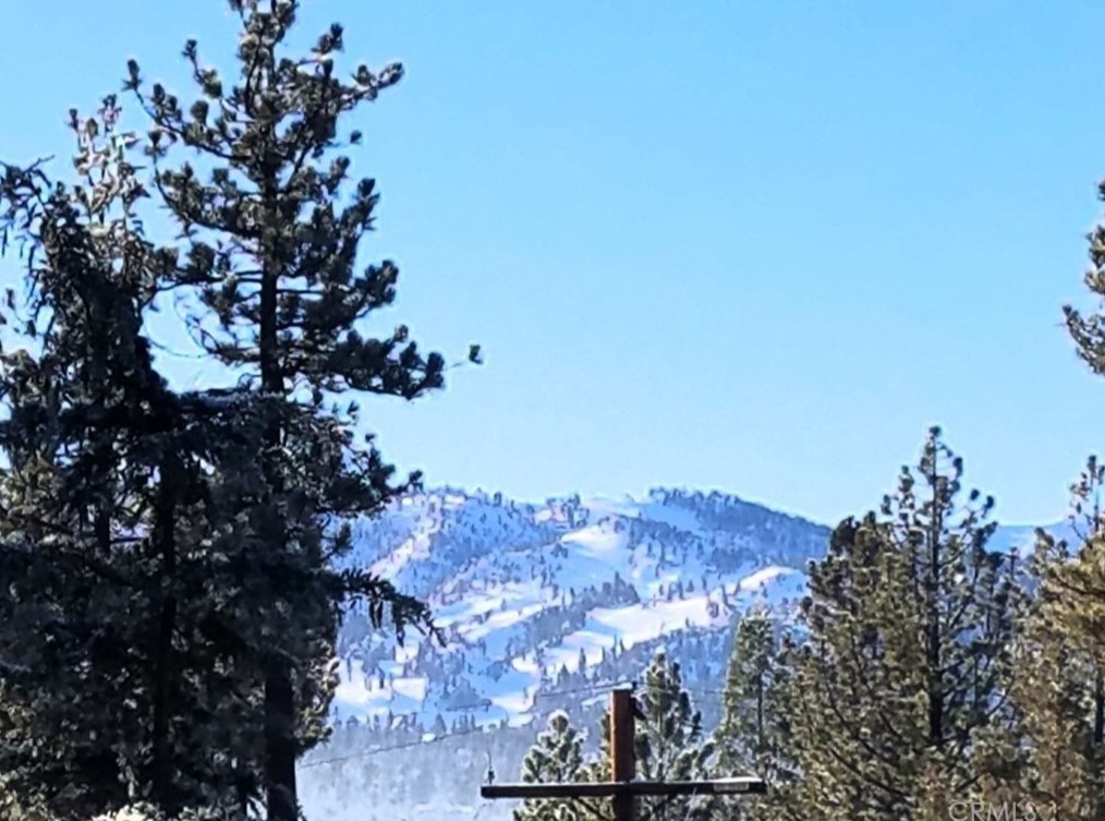 764 Panamint Mountain Dr, Big Bear City, CA 92314