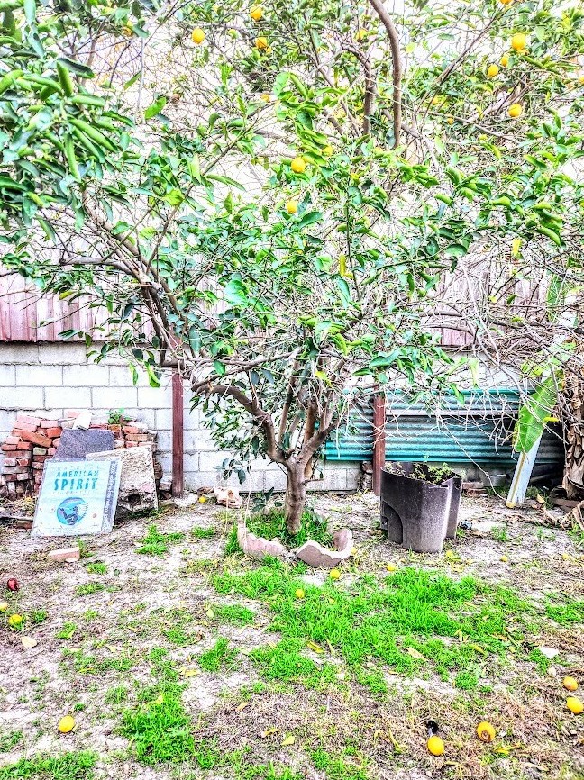 14213 Washington Ave, Hawthorne, CA 90250