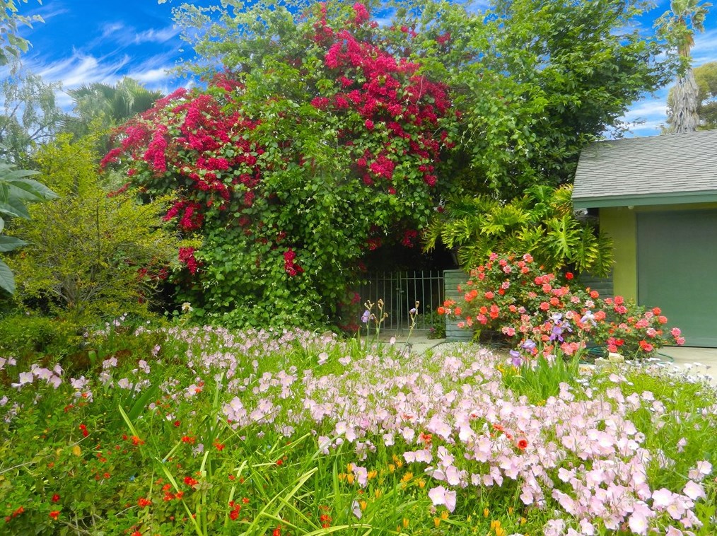 5910 Ave Juan Bautista, Riverside, CA 92509
