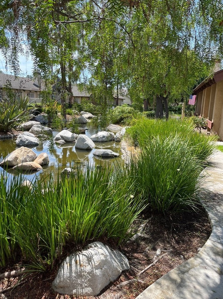 22901 Caminito Sol, Laguna Beach, CA 92653-1126