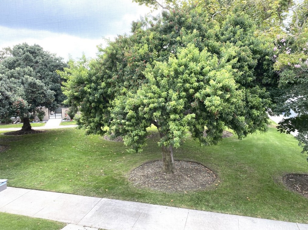 1860 Mckinney Way M15-21l, Seal Beach, CA 90740