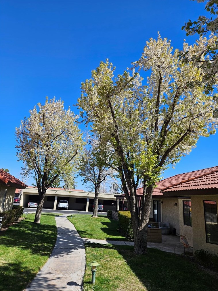 19188 Palo Verde Dr, Apple Valley, CA 92308