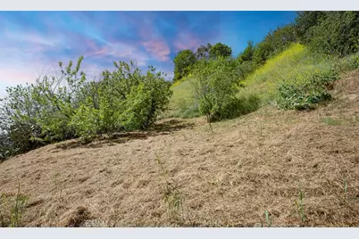 0 Las Palomas Drive, La Habra Heights, CA 90631 - Photo 14