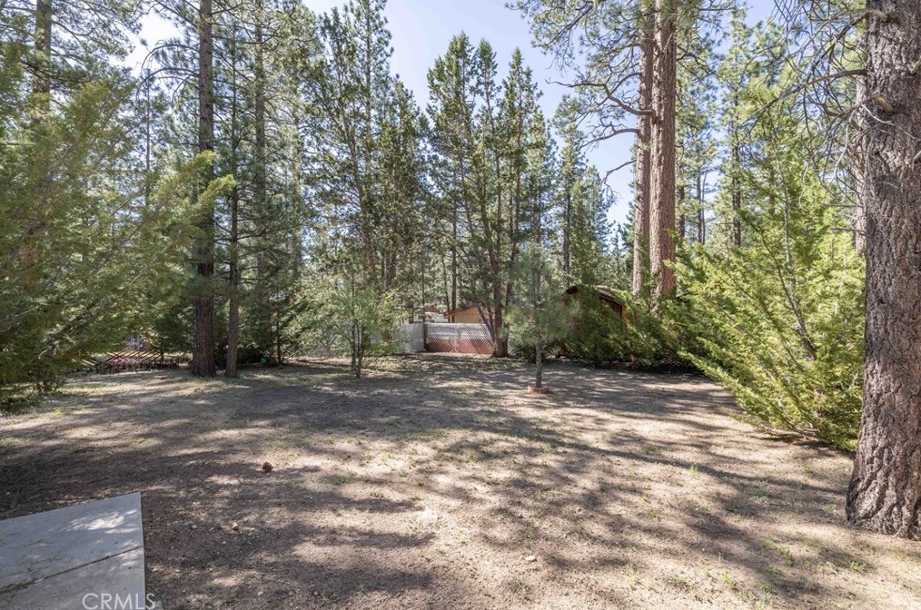 913 Mtn Ln, Big Bear City CA  92314-9110 exterior