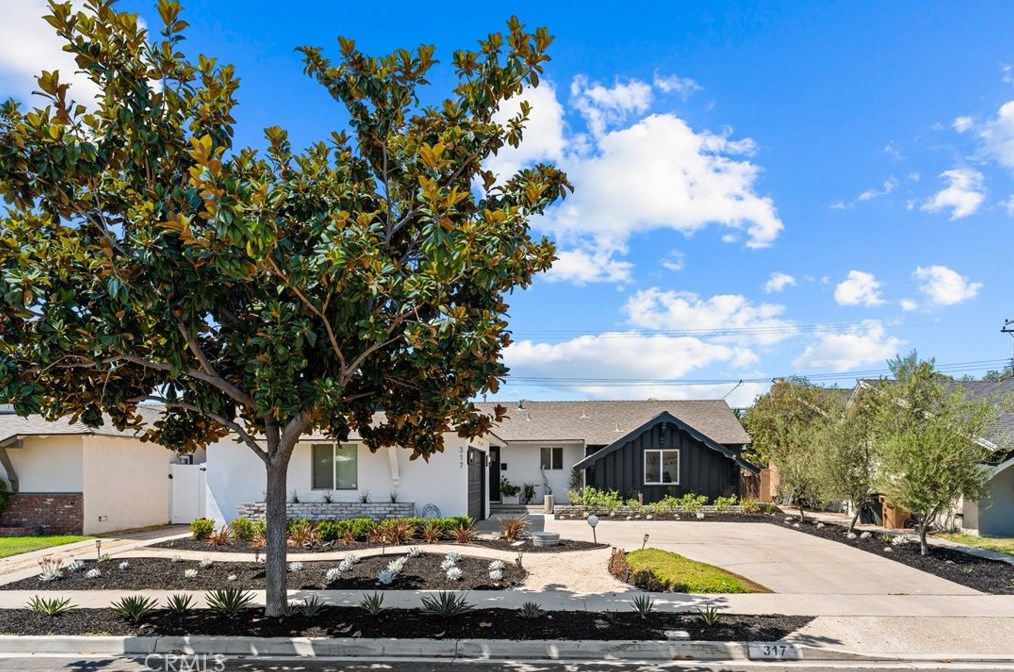 317 S Nutwood St, Anaheim, CA 92804