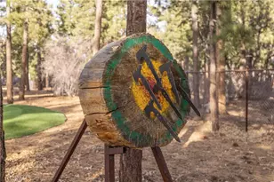 634 Cedar Glen Dr, Big Bear City, CA 92314 - Photo 70